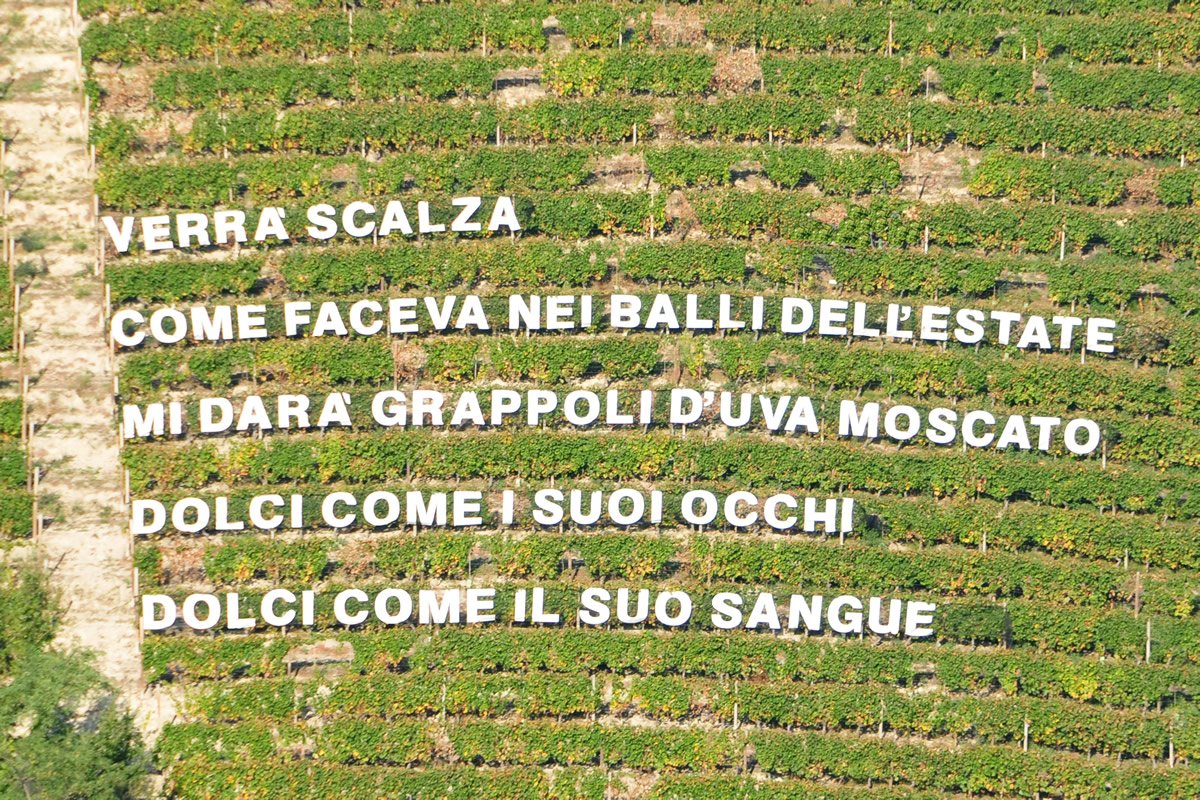 Castiglione Tinella apre il suo Parco Panoramico-Letterario “Versi in Vigna” e diventa “Il Paese delle Vigne Scritte”.